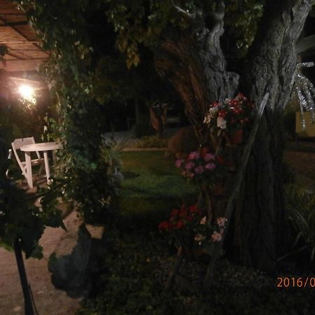 B&B Mar Tirreno บาร์เชลโลนา-ปอซโซ ดี กอตโต ภายนอก รูปภาพ